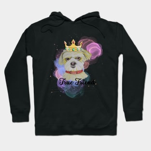 Fun Dog True Friend Hoodie